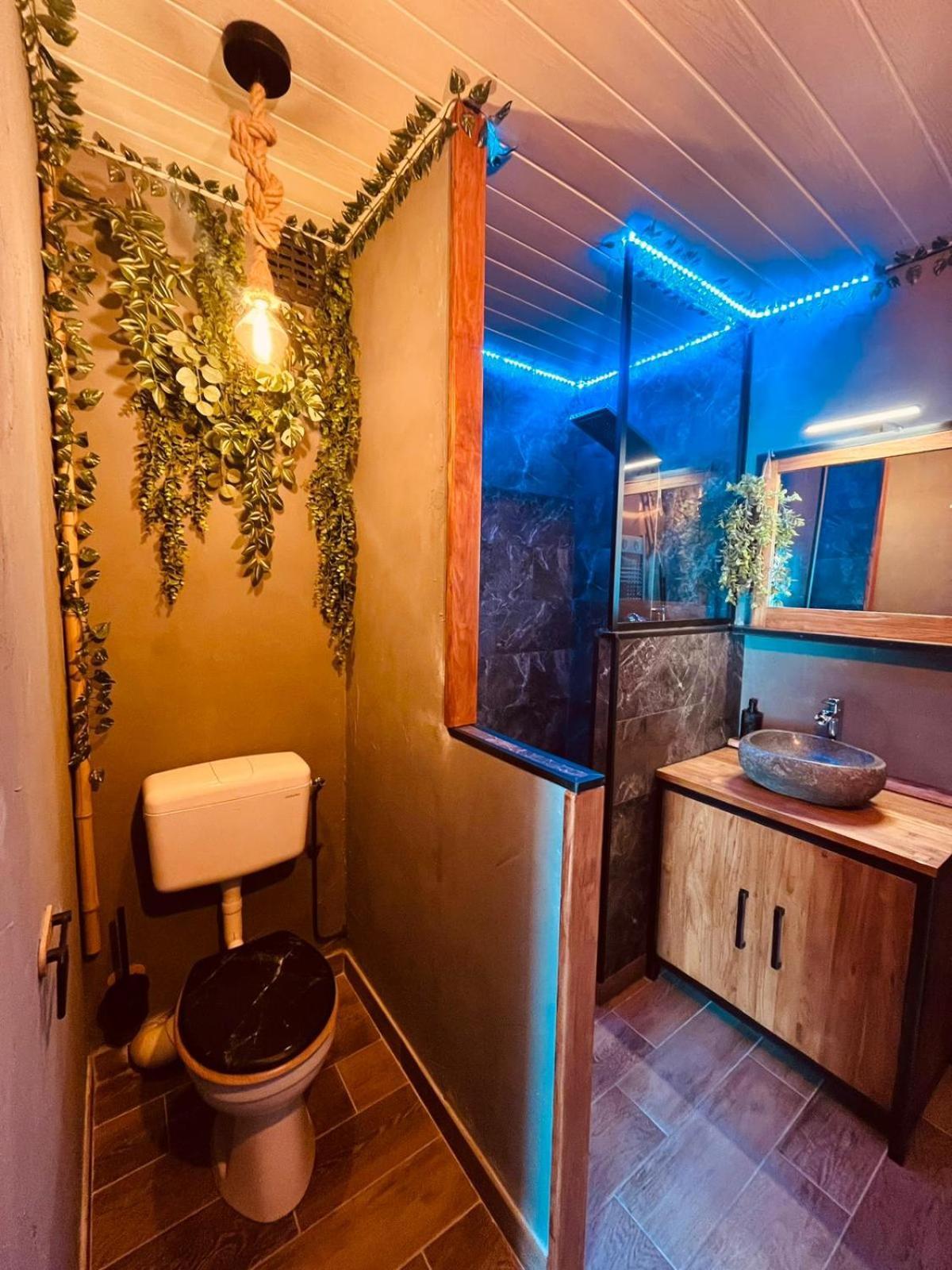 Oasis Tropical & Sauna Saint-Hilaire-de-Riez Dış mekan fotoğraf